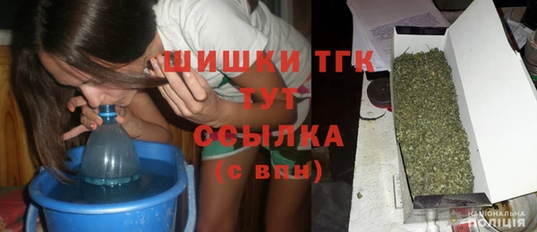 бошки Алексин