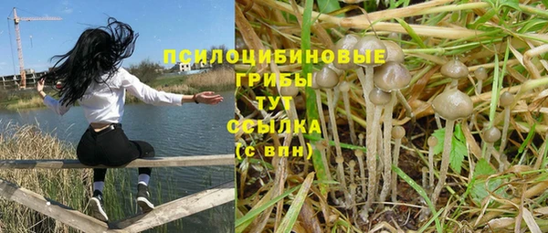 ГАЛЛЮЦИНОГЕННЫЕ ГРИБЫ Алексеевка