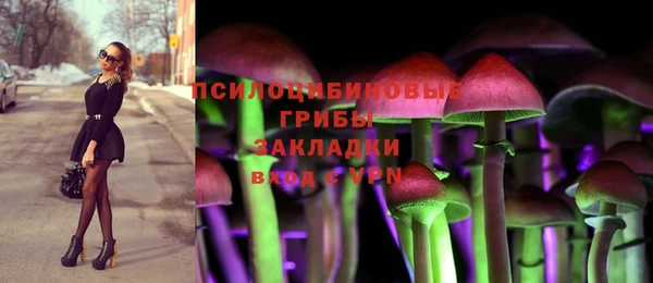 а пвп мука Алзамай