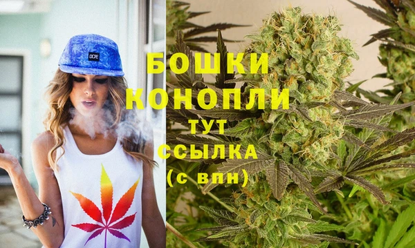 бошки Алексин