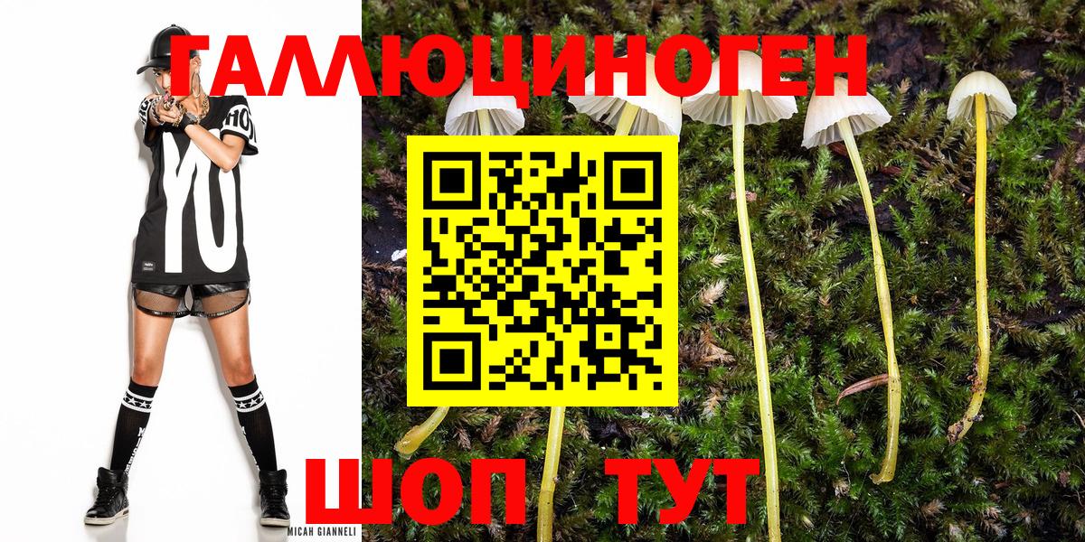 Сунжа  Псилоцибиновые грибы GOLDEN TEACHER  Псилоцибиновые грибы MAGIC MUSHROOMS  Вход с VPN 
