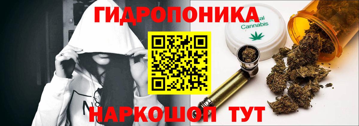 Конопля планчик  Бошки марихуана индика  Канабис VHQ  Вход с VPN  Сунжа  Бошки Шишки Ganja 